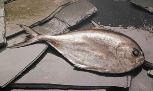 reineta